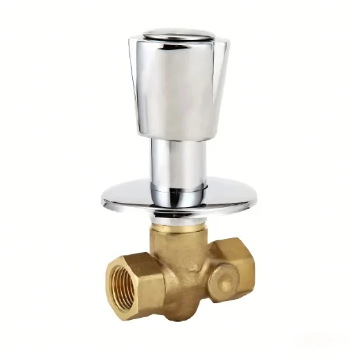Slēptais Globe Valve